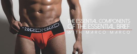 The Essential Components of the Essential Brief by Marco Marco